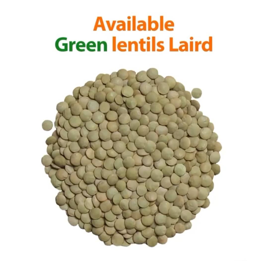 green_lentils_Image