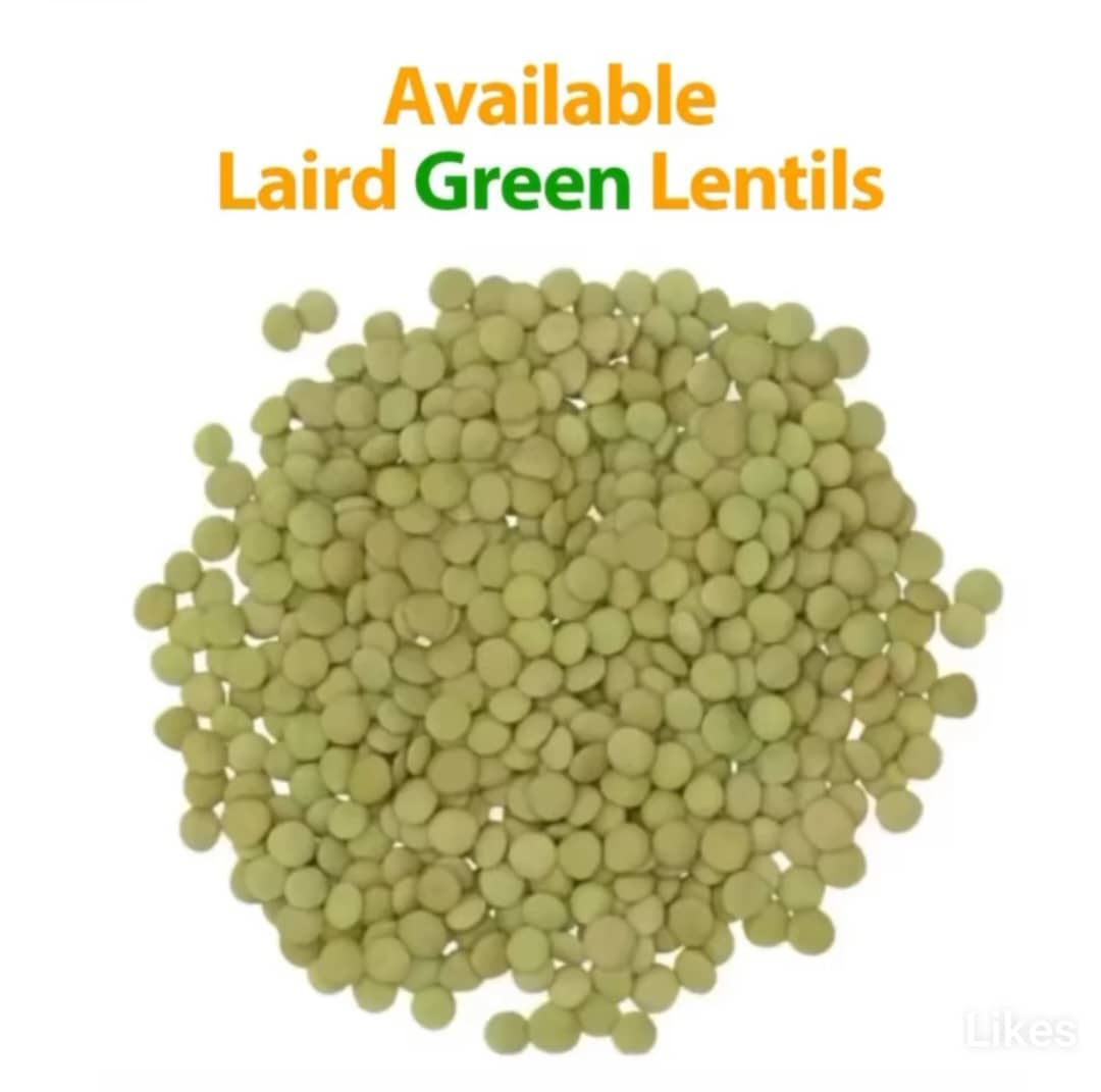 Green_Lentils2_img