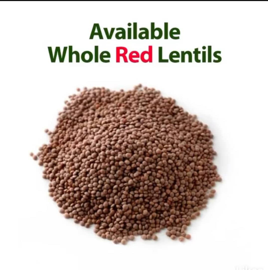 red_lentils_image